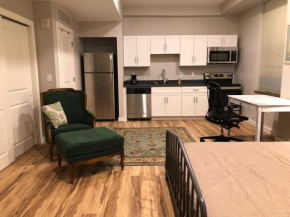 208 New Downtown Living studio